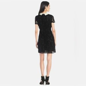 Betsey Johnson Black Lace Shift Dress with Faux Pearl Collar